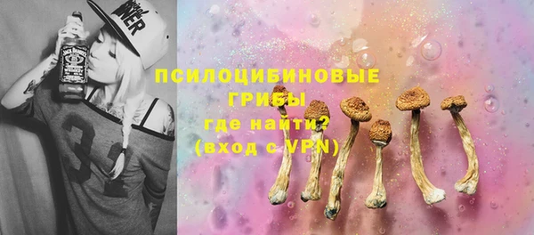 эйфоретик Мегион