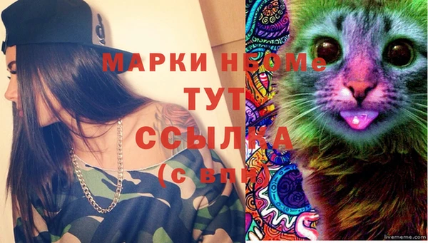 твердый Медвежьегорск