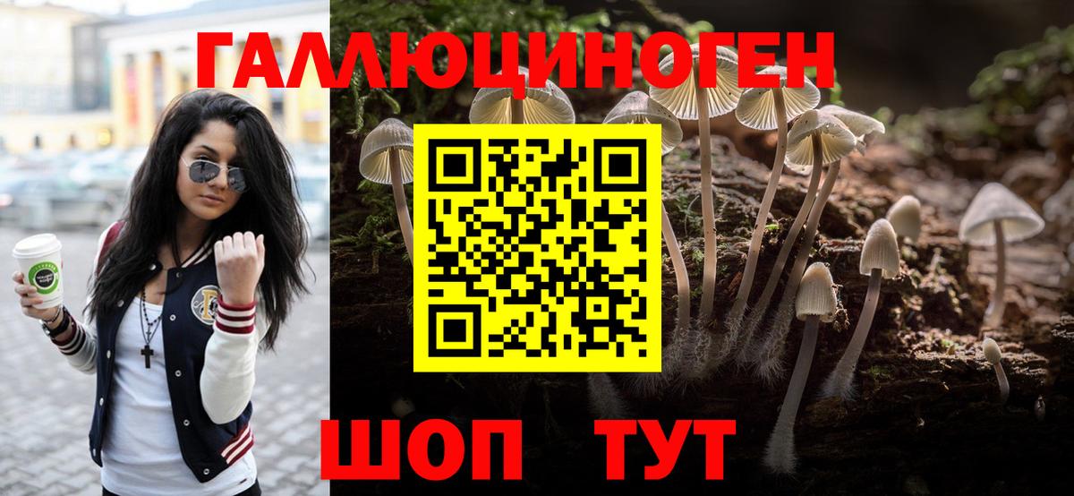 Тара  Псилоцибиновые грибы мухоморы  Галлюциногенные грибы Psilocybe  Вход с VPN 