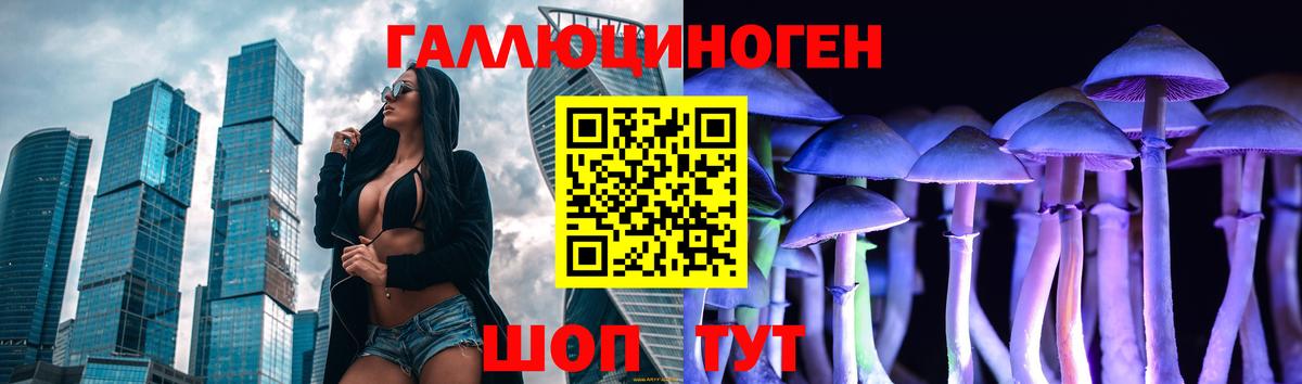 Галлюциногенные грибы Cubensis  Тара 