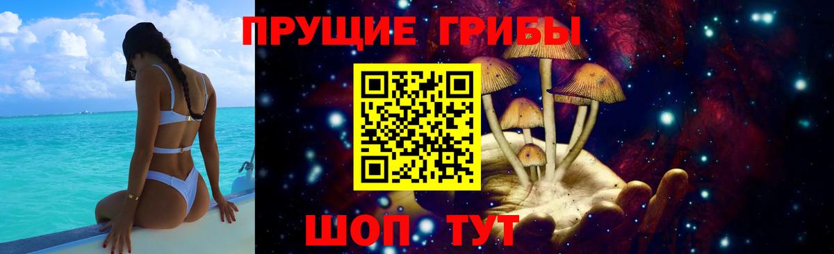 Галлюциногенные грибы GOLDEN TEACHER Тара