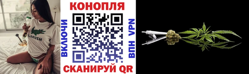 Каннабис Amnesia  Тара 